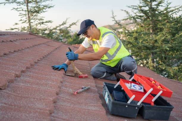 Best Roof Waterproofing Services  in Double Springs, AL