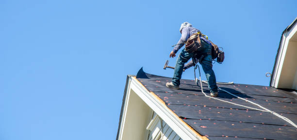 Best Storm Damage Roof Repair  in Double Springs, AL